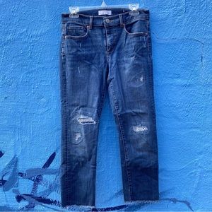 Ann Taylor Loft Modern Straight jeans, 30 petite